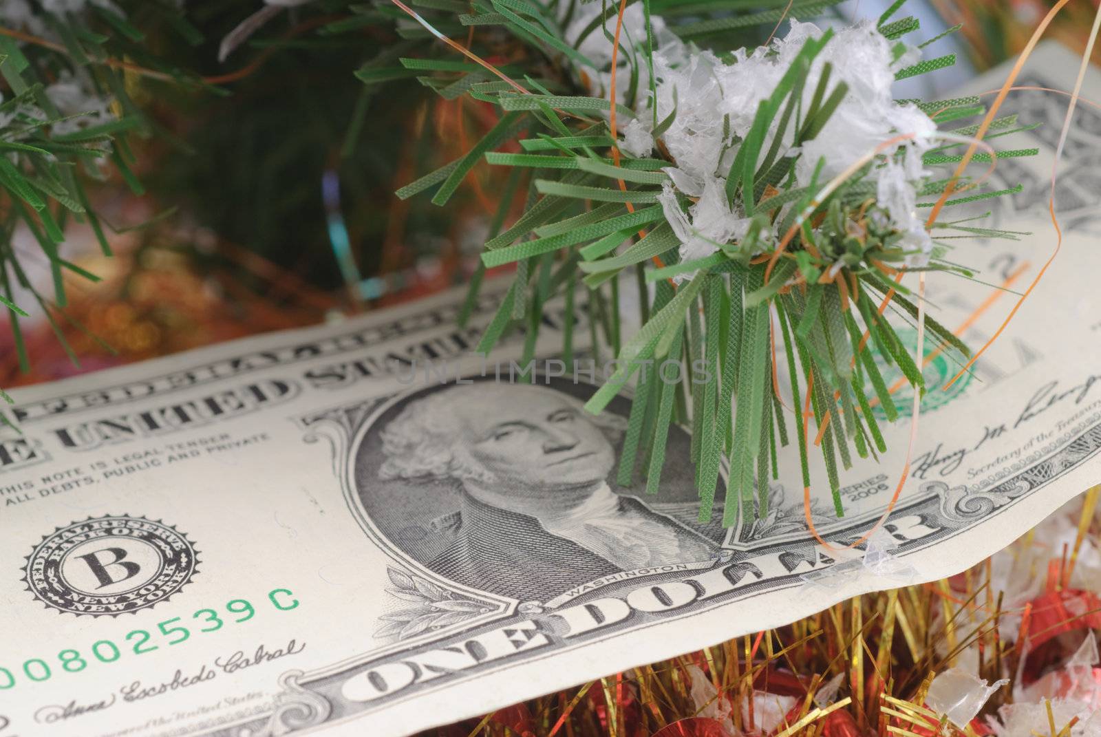 Banknotes dollar are under the Christmas tree