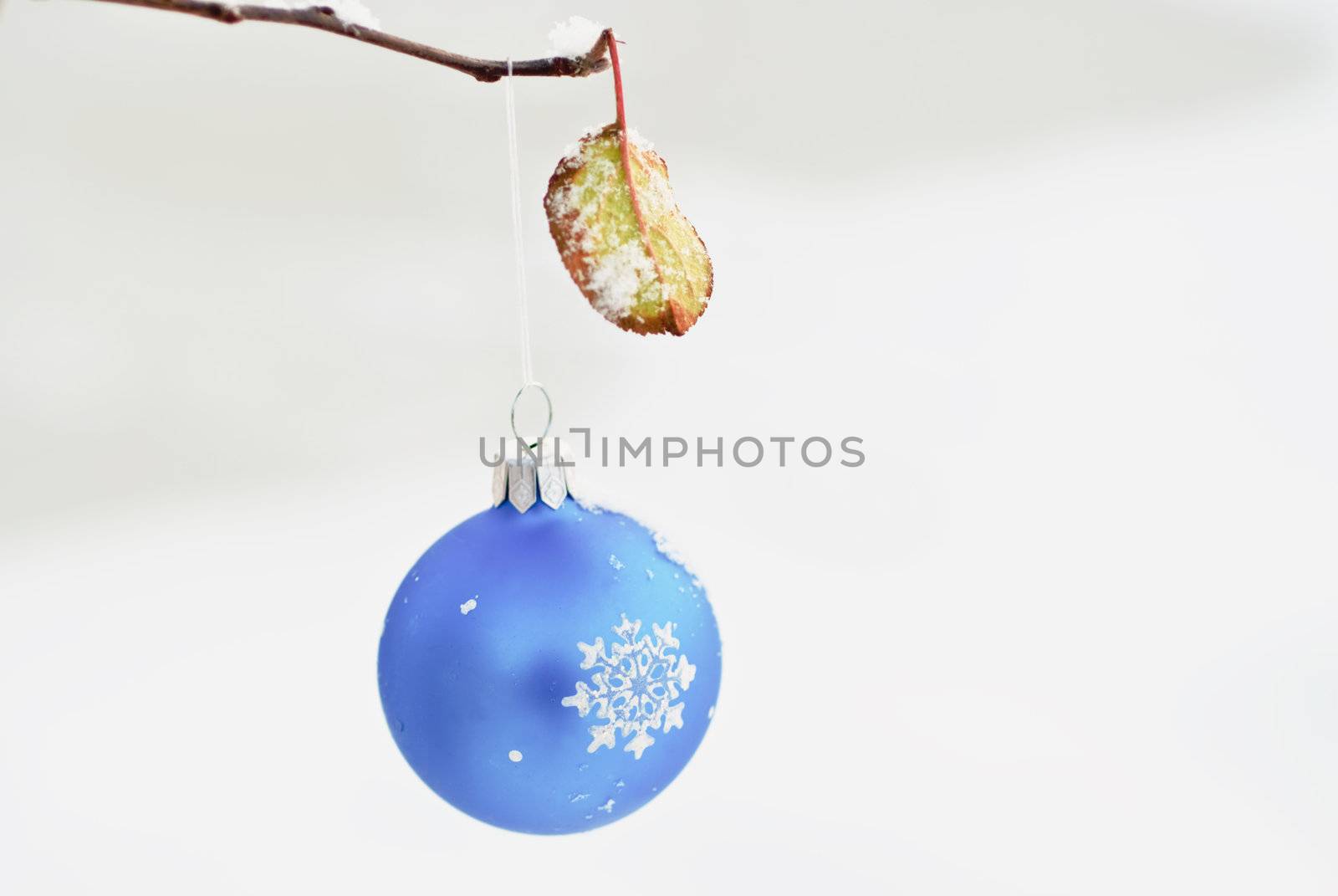 Christmas decoration hanging on a branch with a green leaf