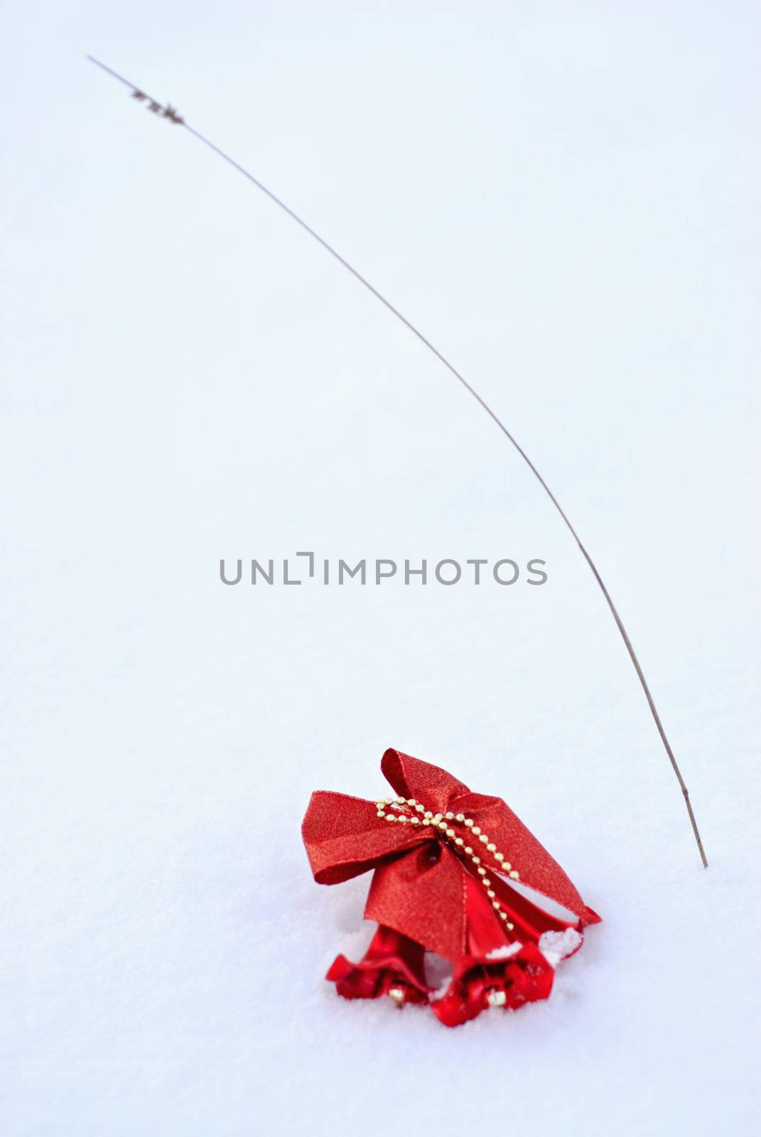 The bright tone. Festive decoration of red lies in the snow