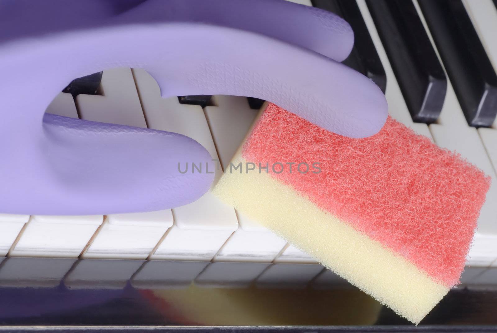 Rubber gloves and sponge