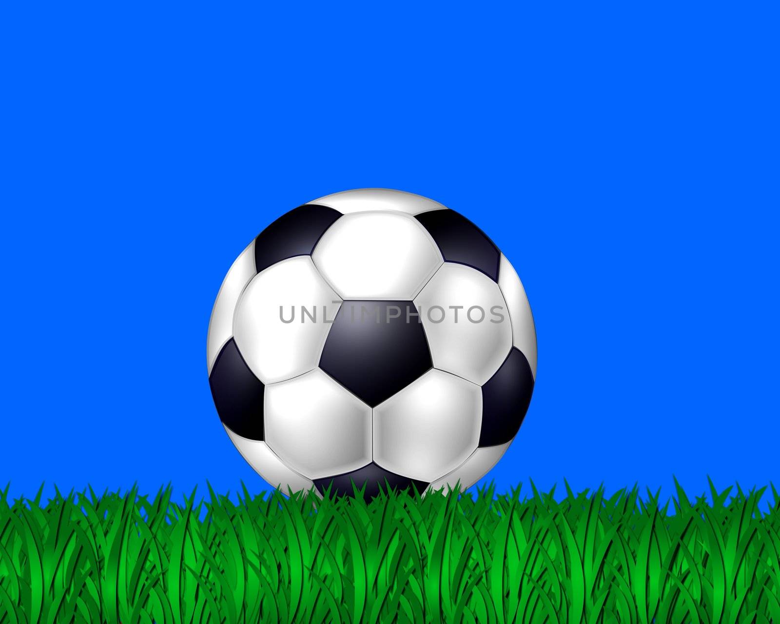 illustration of a soccer ball