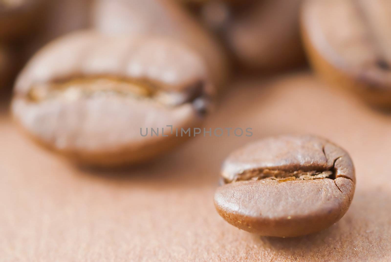 Appetizing coffee seeds are a dark brown background