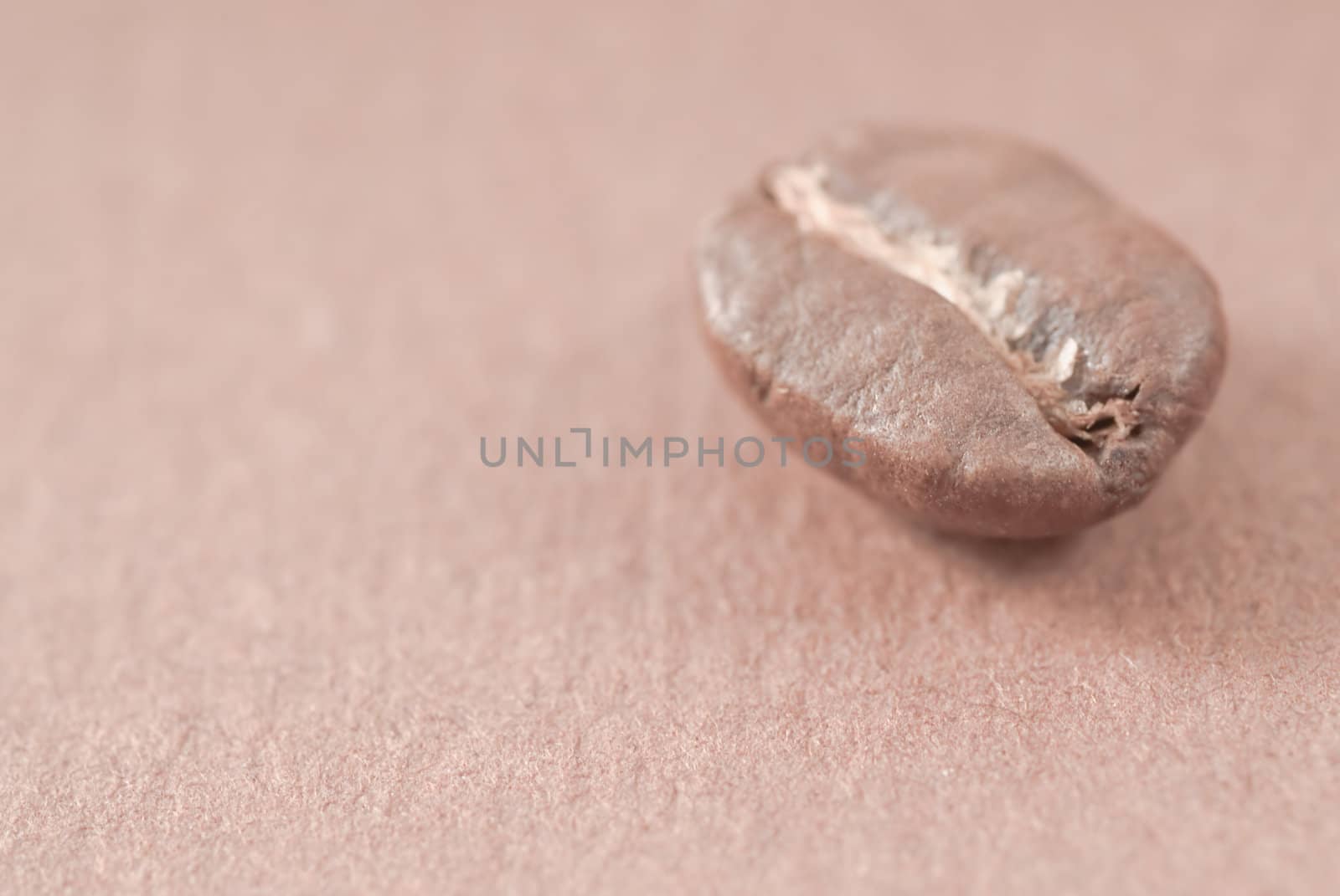 The seed of coffee closeup- food ingredient. Brown background