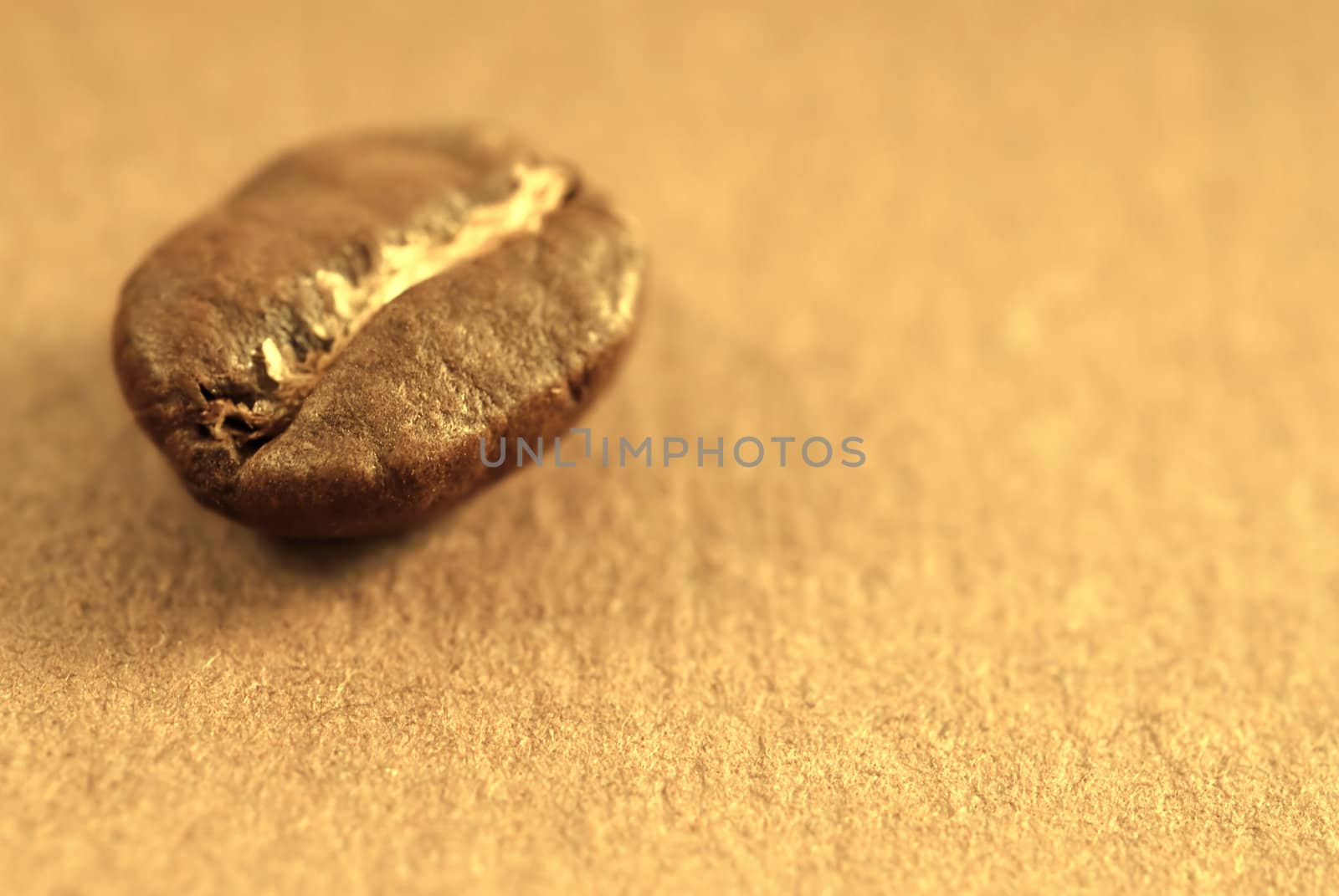The seed of coffee closeup- food ingredient. Sepia background