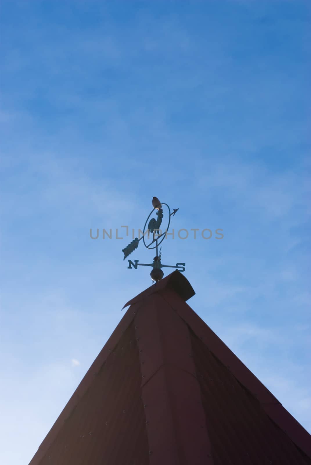 Vane on the roof of a country house on a background of blue sky