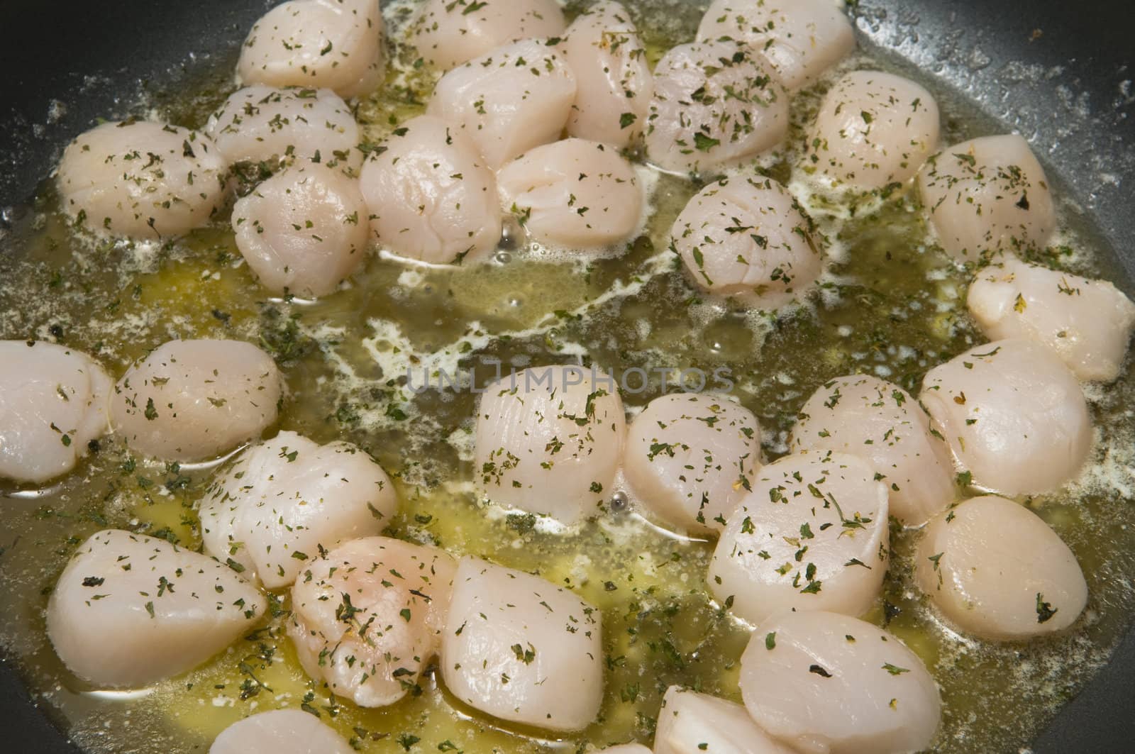 Selective focus on the foreground scallops cooking in butter