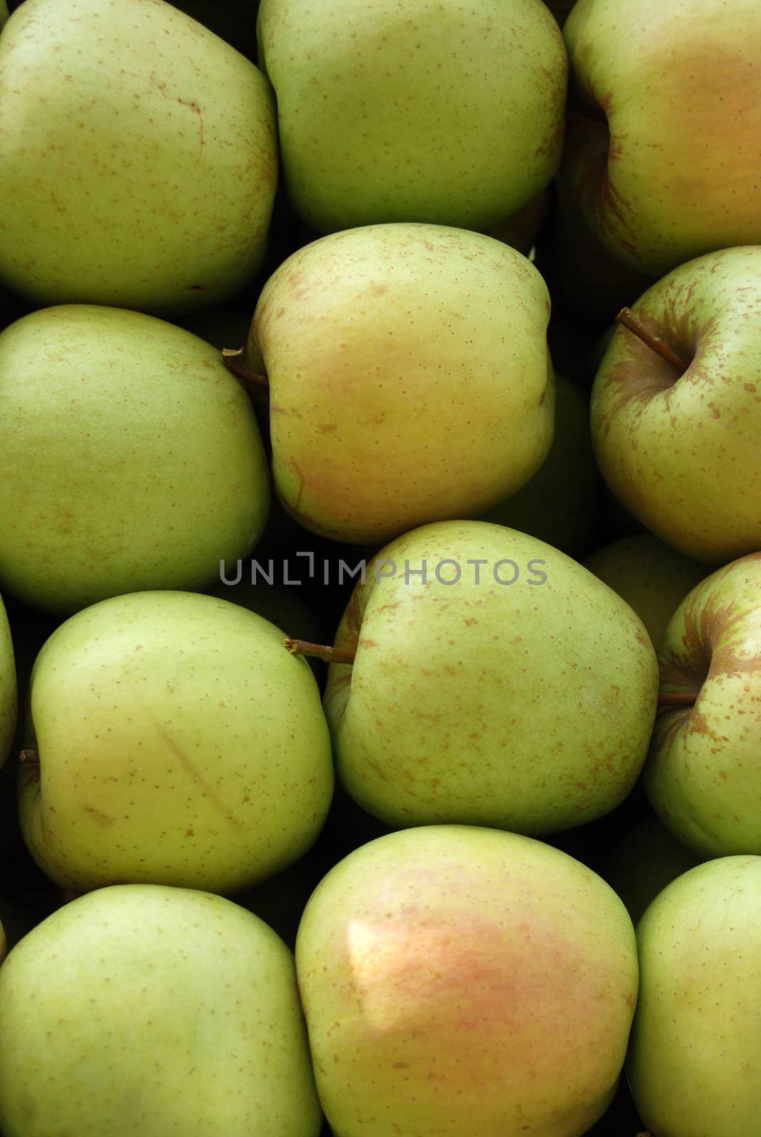 apples by nehru