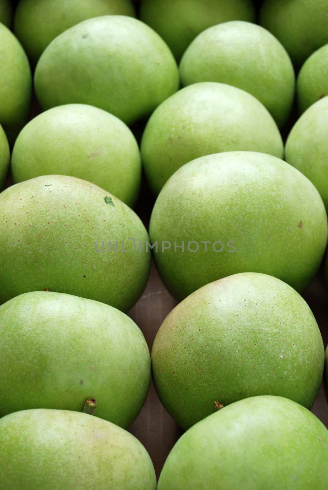 green apples by nehru