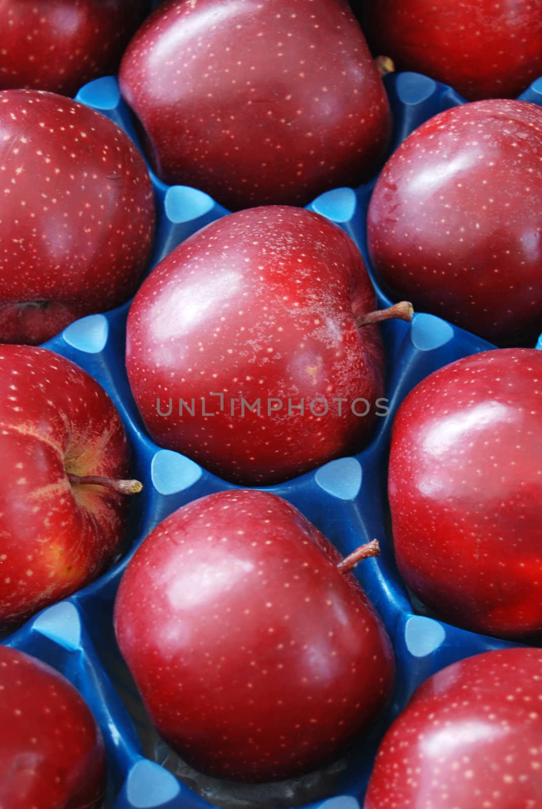 red apples by nehru