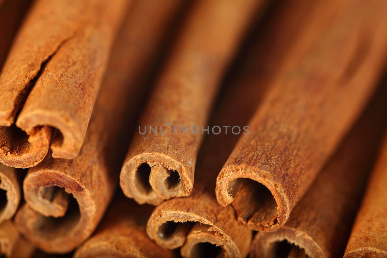 Macro photo of the ends of cinnamon sticks.  Very shallow depth of field with the focus on the middle stick.
