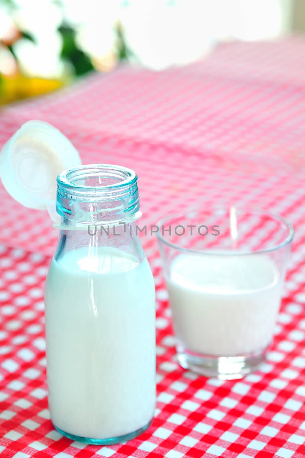 glass of milk and bottle on table