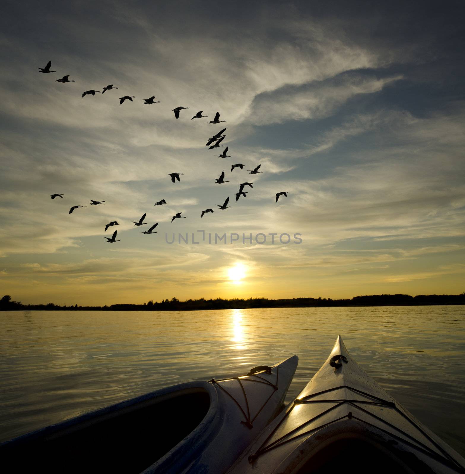 Kayaks on Lake Ontario at sunset with geese loking to landing on the water
