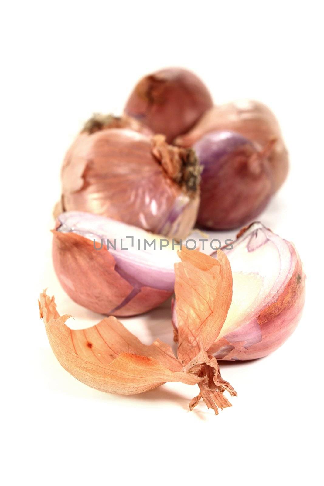 shallots by silencefoto