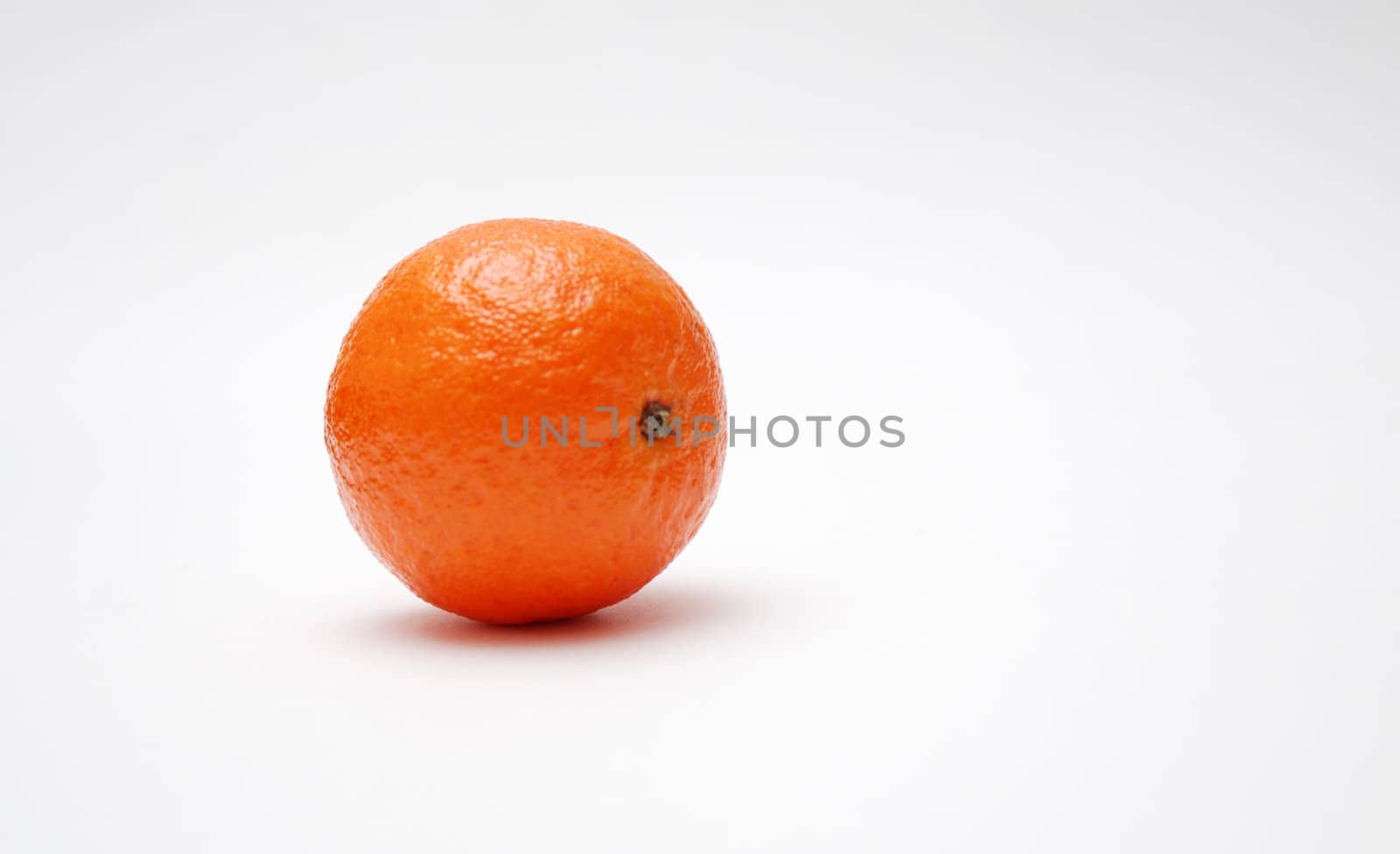 citrus