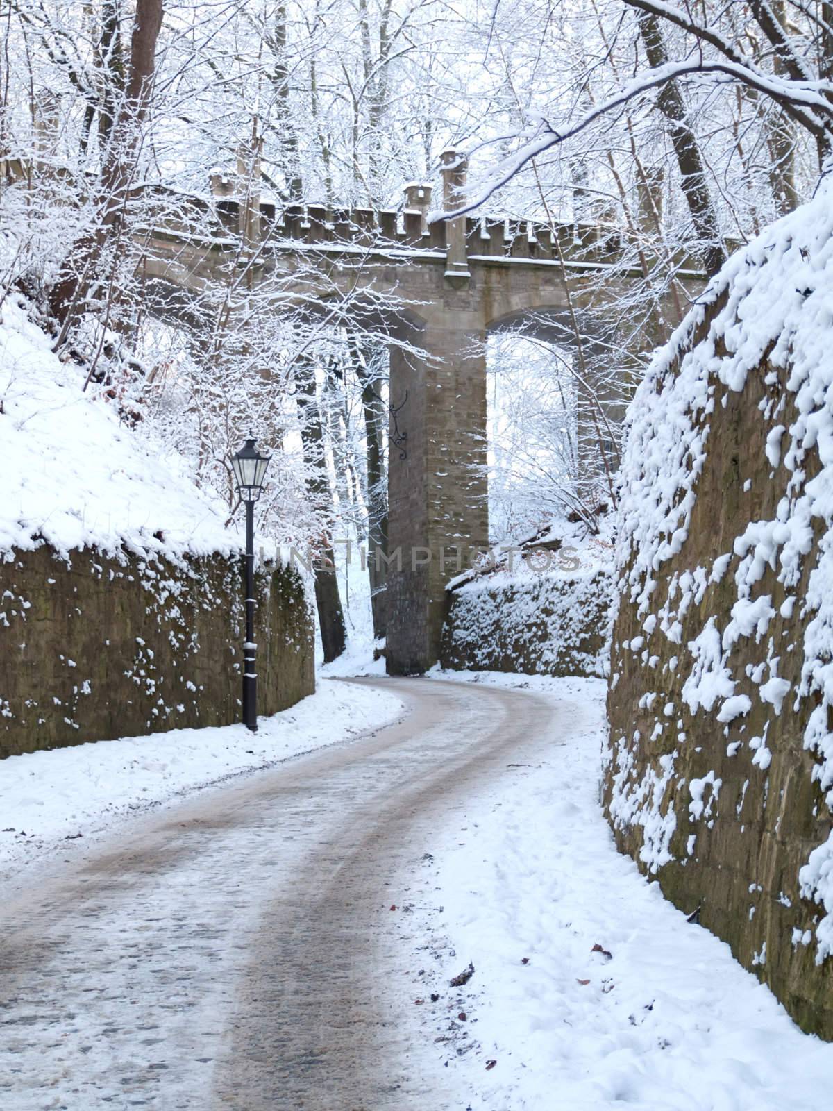 image of snowy Bridle Path