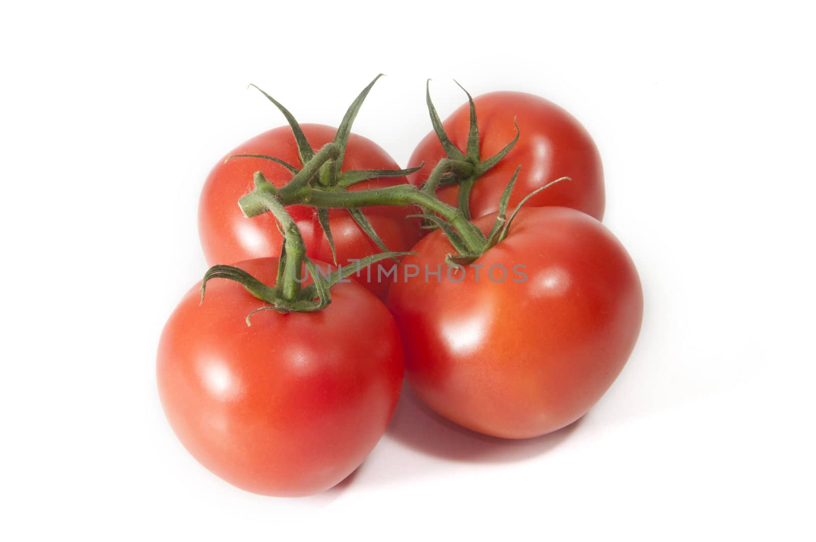 Four fresh tomatoes isolated on white background