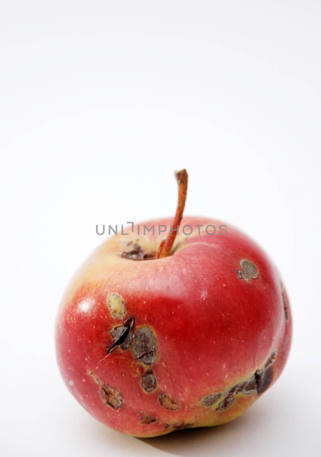 rotten apple