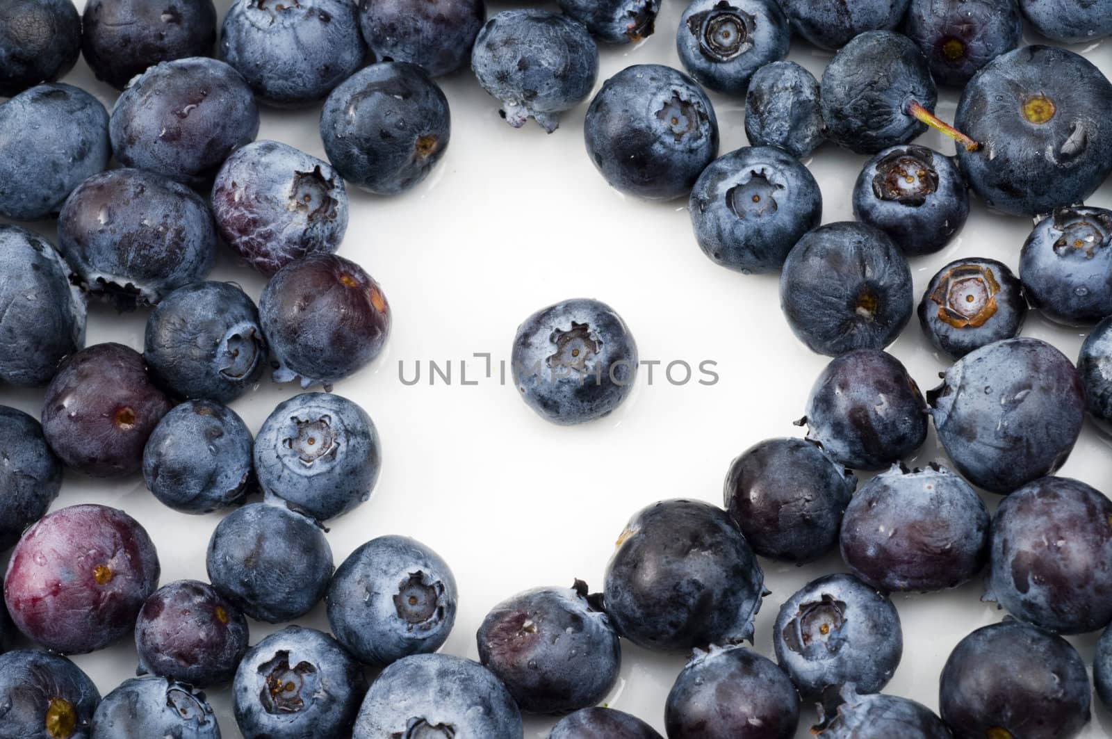 Single blueberry in the center of a group of blueberries on a white plate
