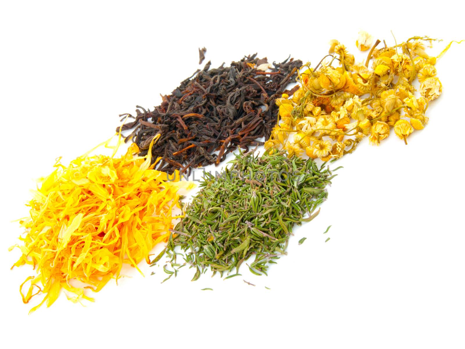 Black and herbal teas set isolated by motorolka