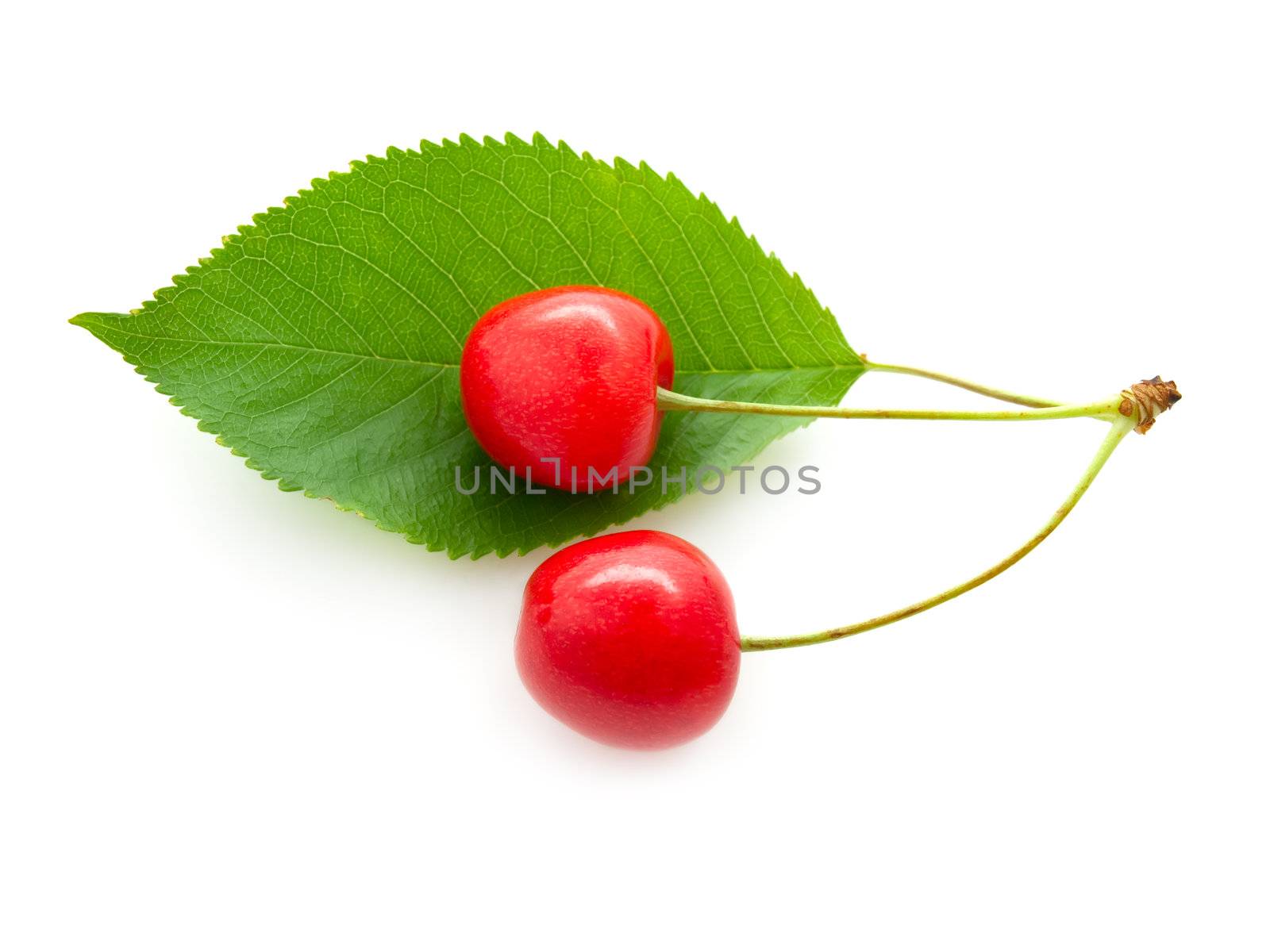 Two cherry with a green leaf on white background. 