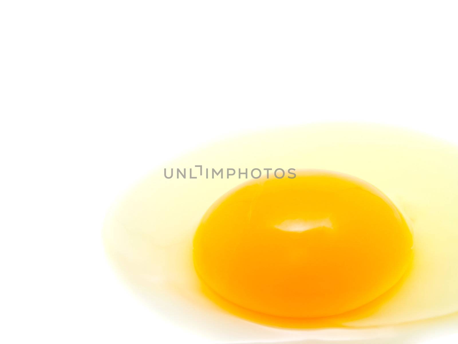 egg