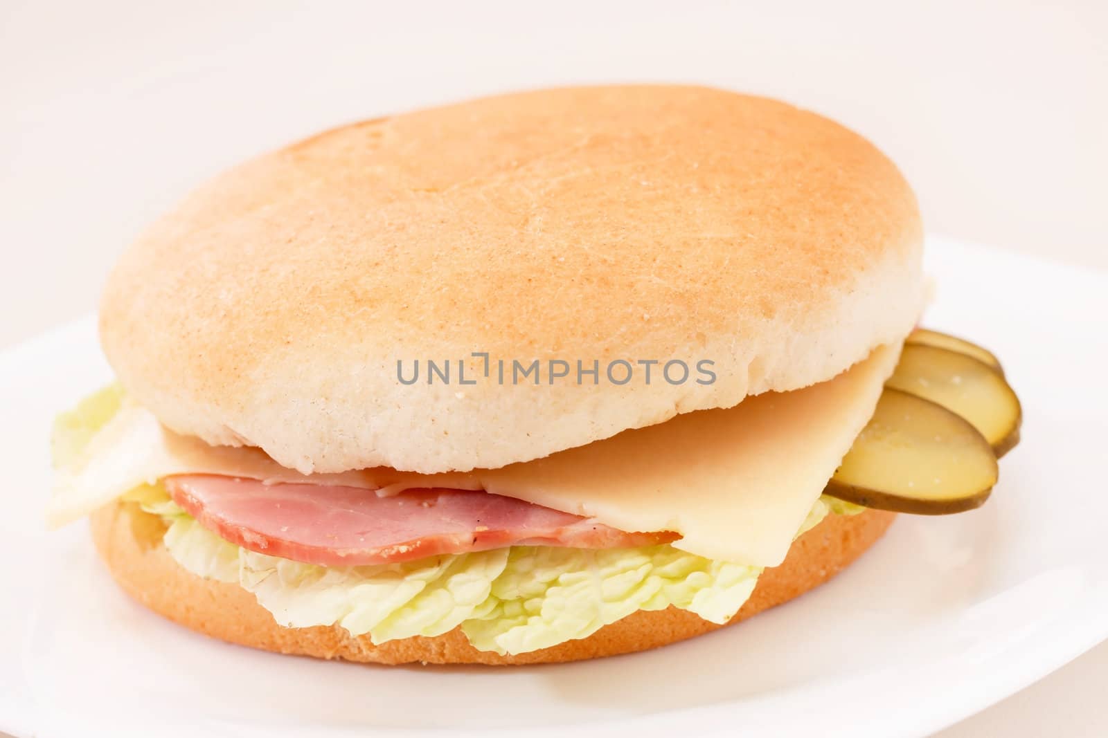 tasty sandwich 