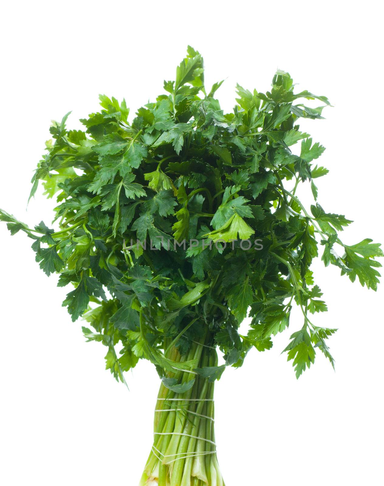 Bunch of fresh parsley isolated over white background