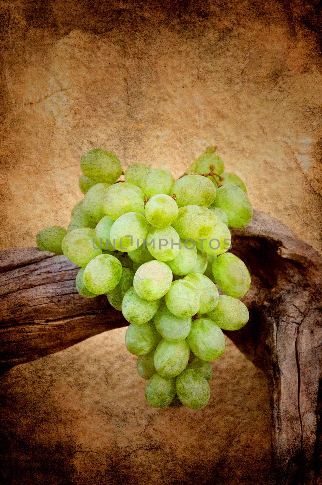 Green grapes on driftwood in grunge.