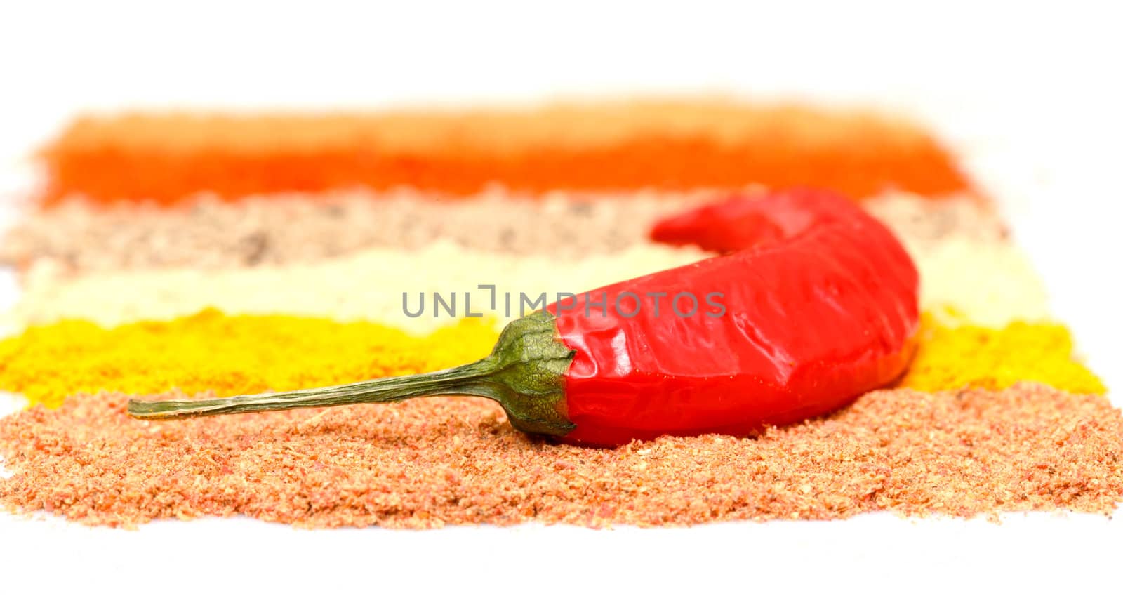 spices background with chili pepper, closeup