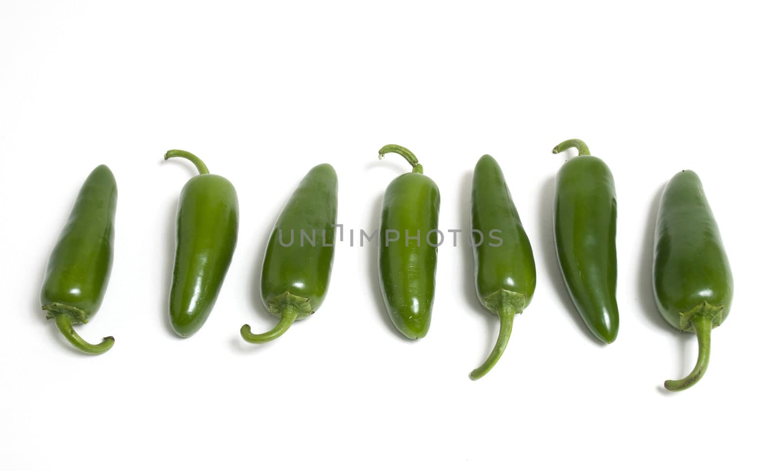 Row of Hot Japapeno Peppers by Gordo25