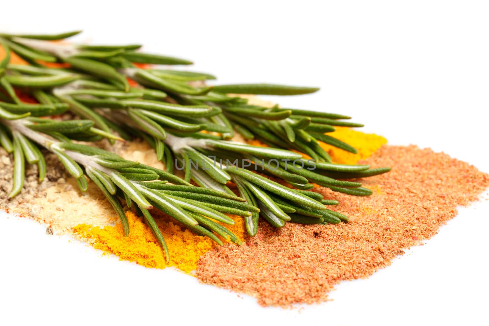spices background with rosemary, closeup