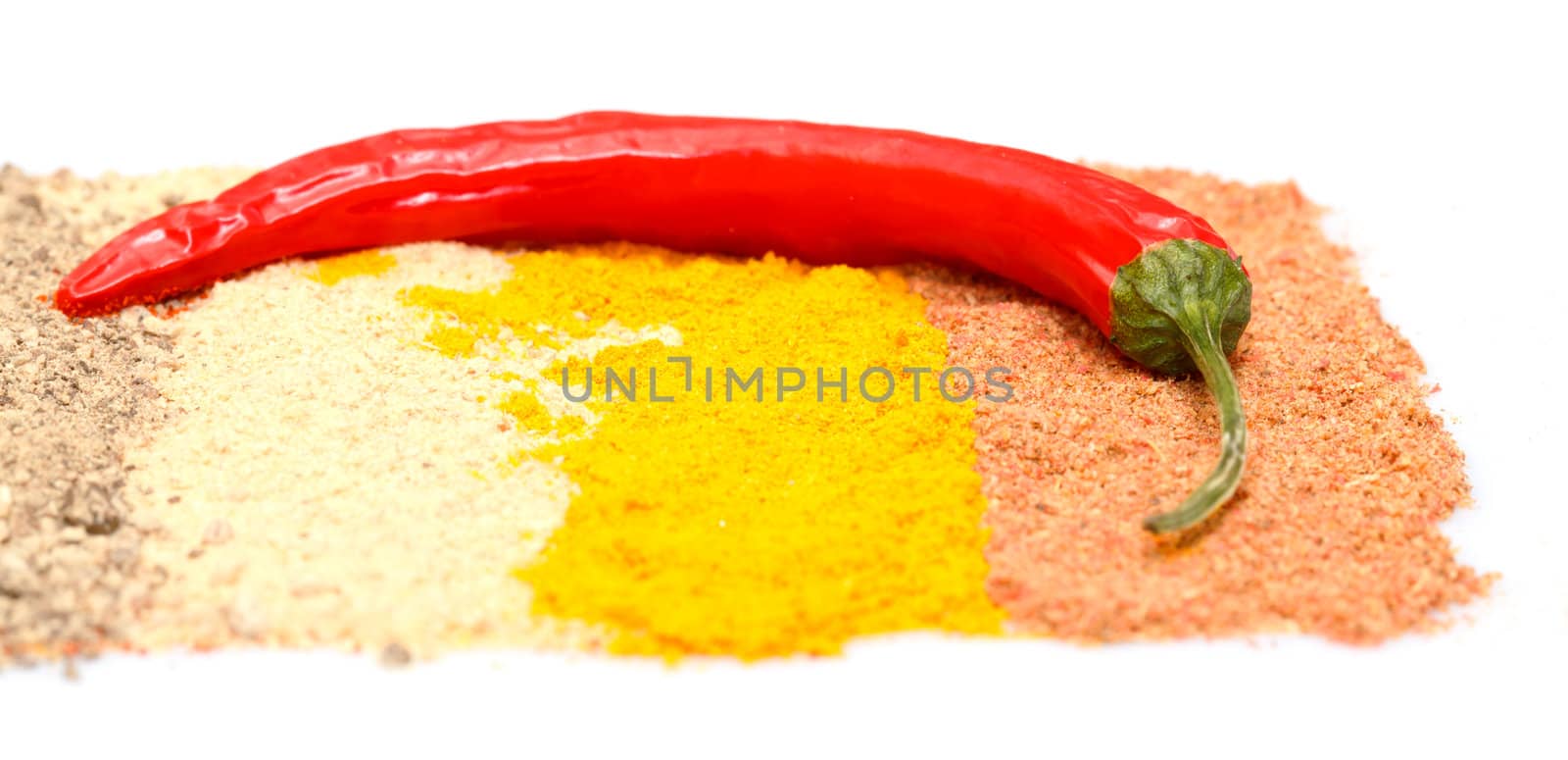 spices and chili pepper by Discovod