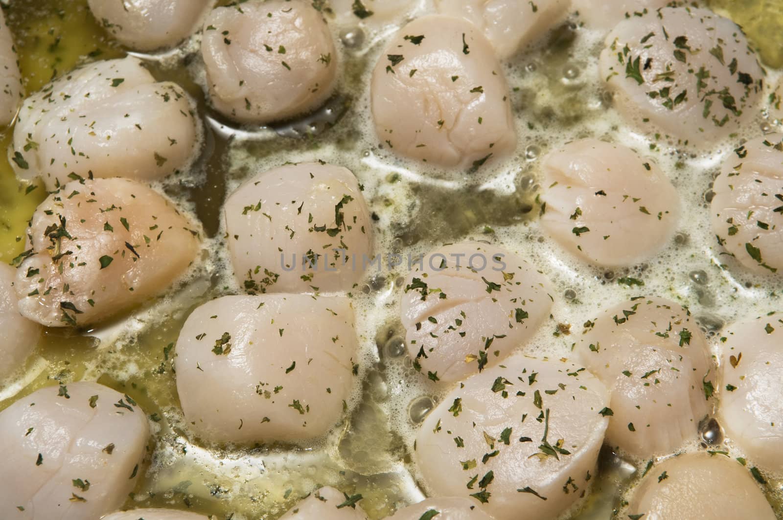 Selective focus on the foreground scallops cooking in butter