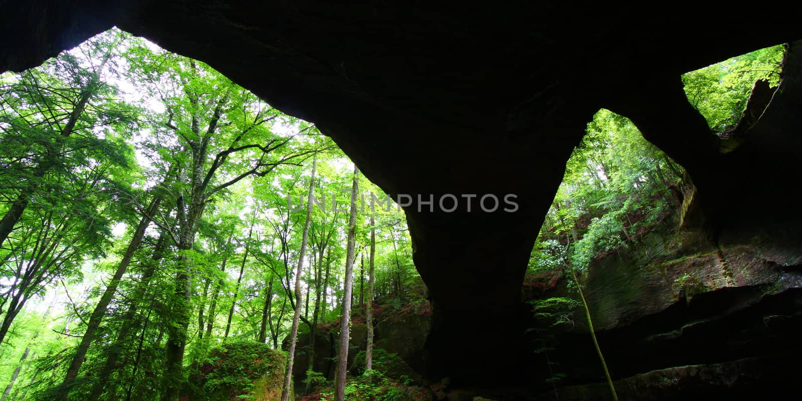 Giant Natural Bridge spans the lush forests of Alabama - USA.