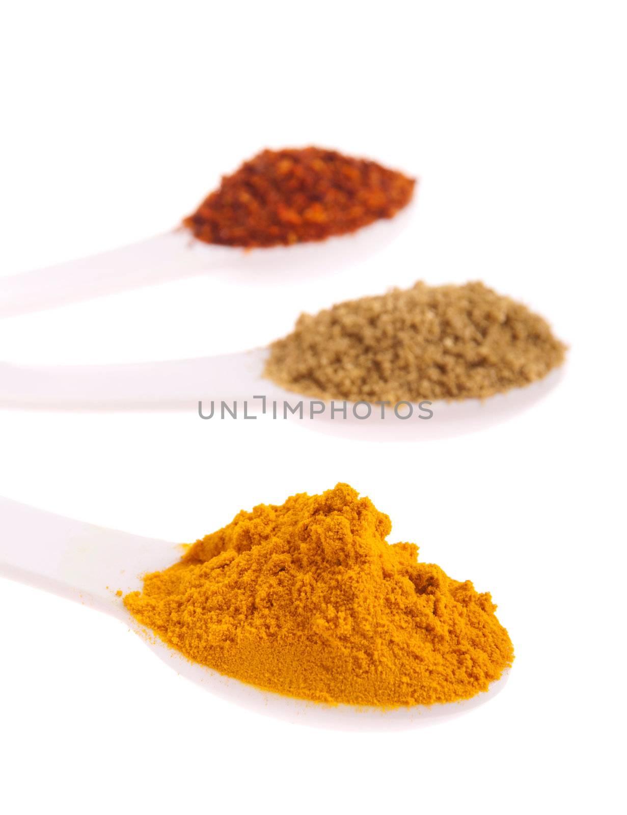 Indian spices in spoons by luissantos84