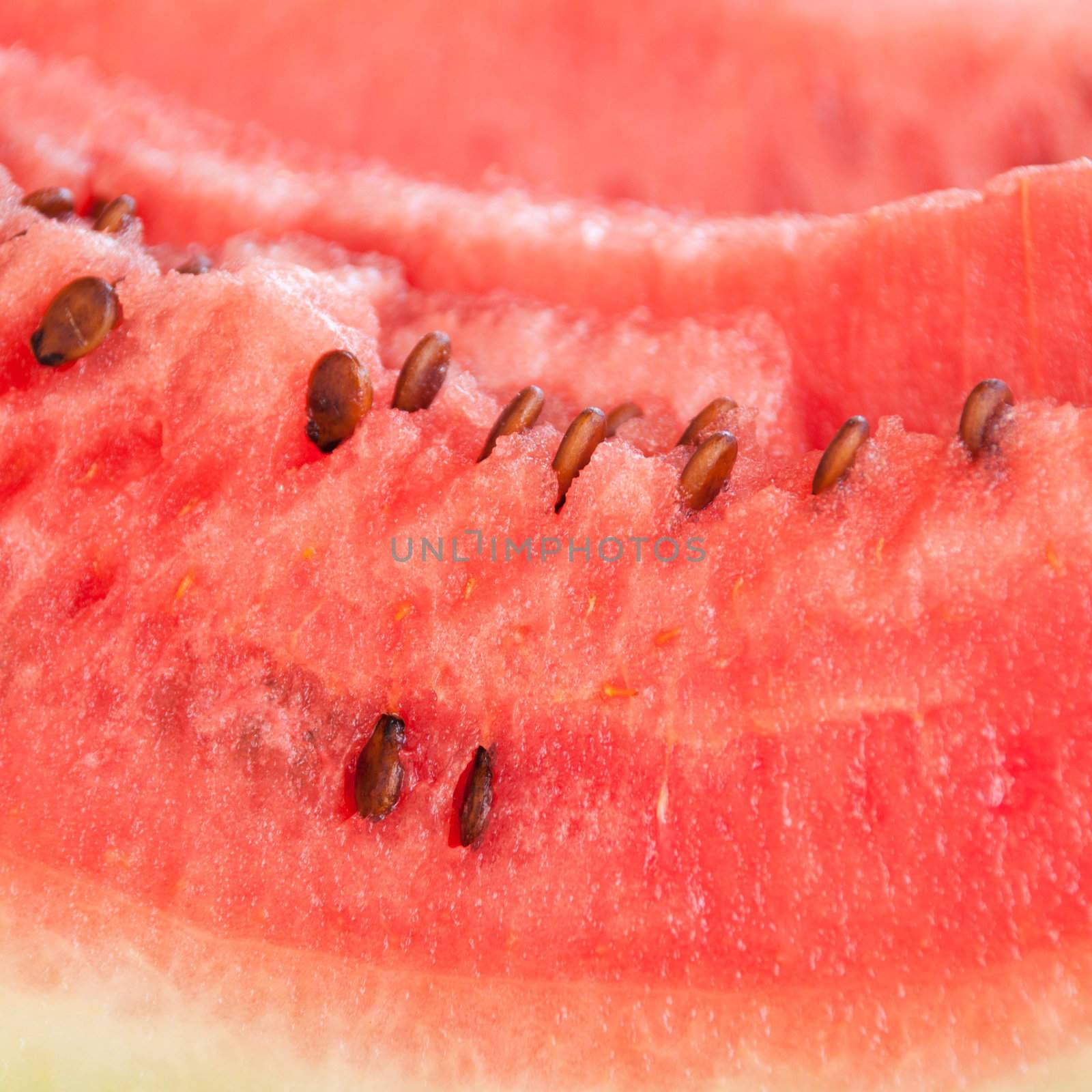 delicious watermelon slice close-up (refreshing summer fruit)
