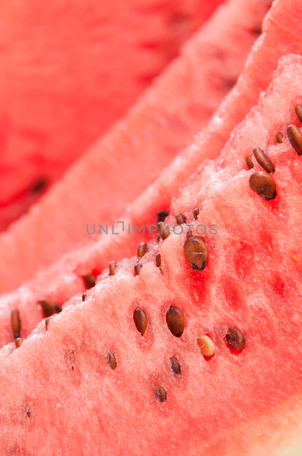 delicious watermelon slice close-up (refreshing summer fruit)