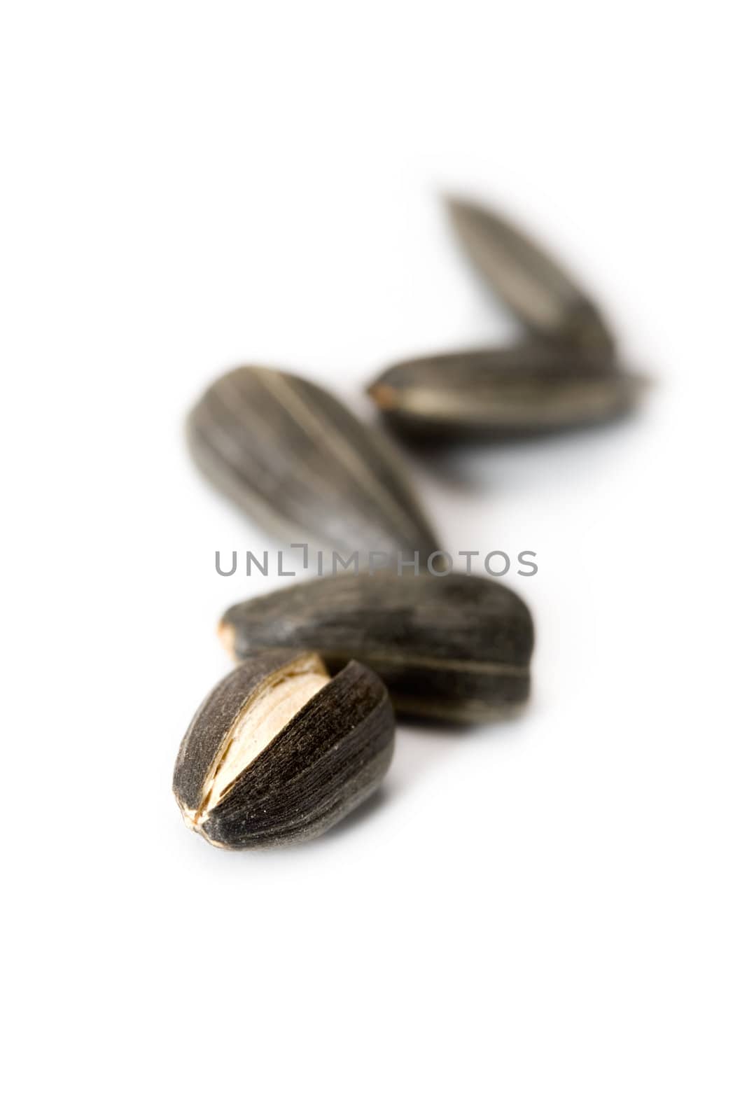 Sunflower seeds isolated on white