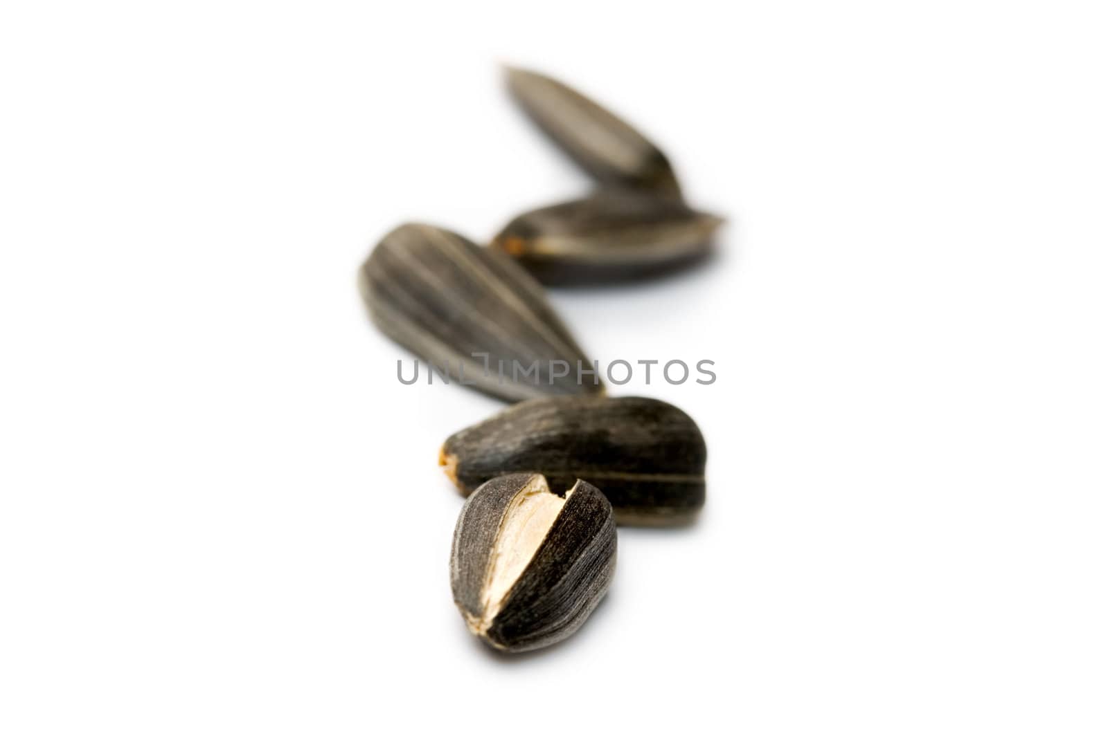 Sunflower seeds isolated on white by Garsya