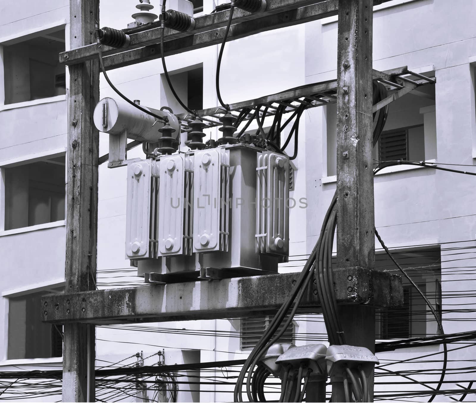 Transformer on a power pole in black and white.