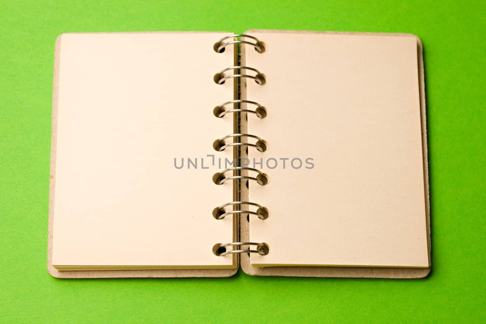 Notepad isolated on green background by Garsya