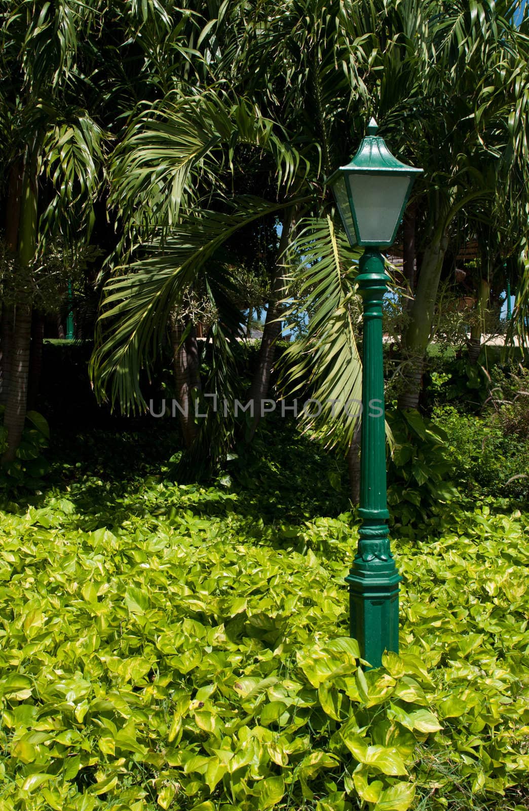 antique lamp post surrounded by nature (vibrant plants and palm trees)