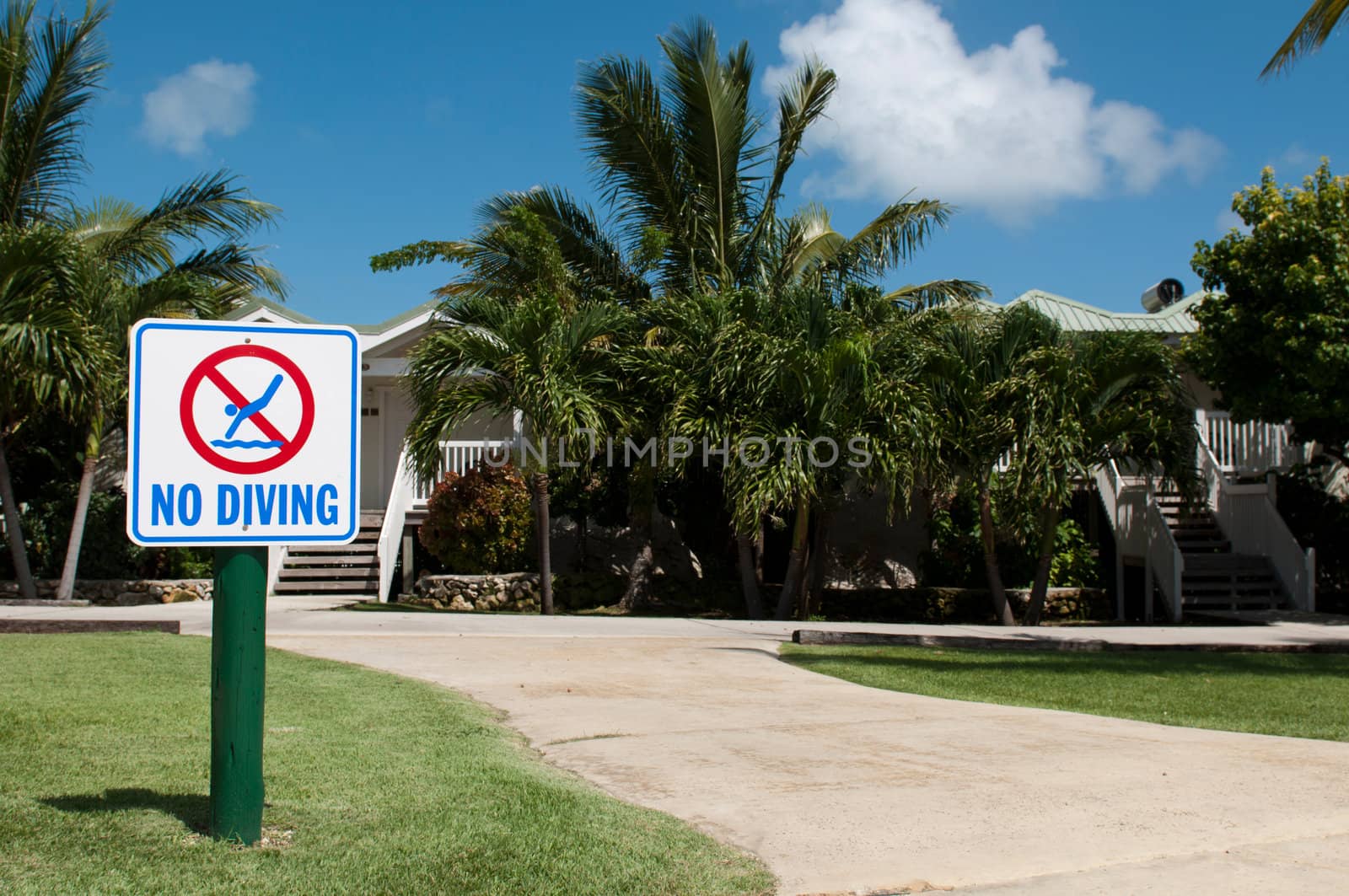 no diving sign on the grass (tropical resort setting with palm trees)