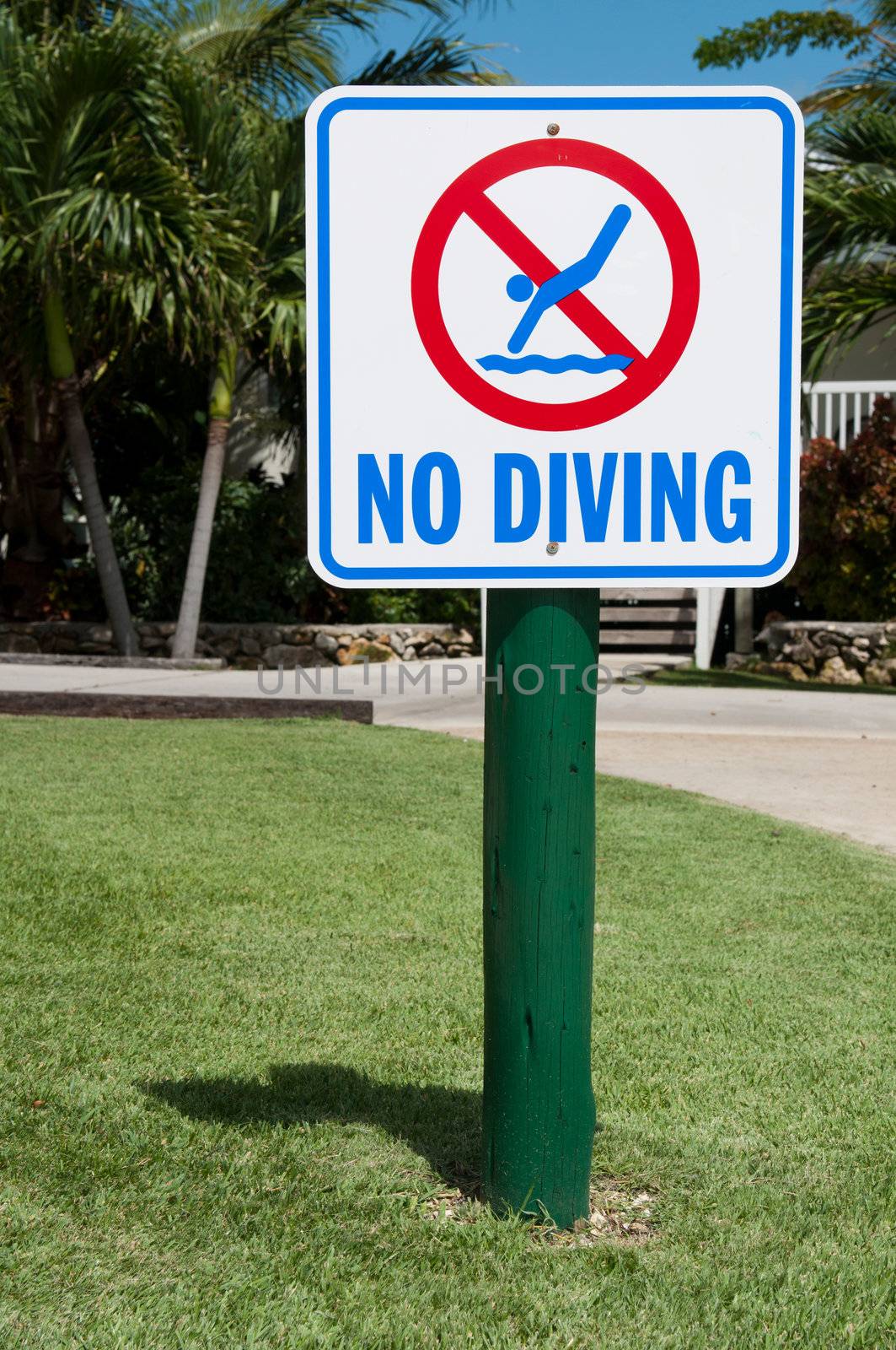 no diving sign on the grass (tropical resort setting with palm trees)