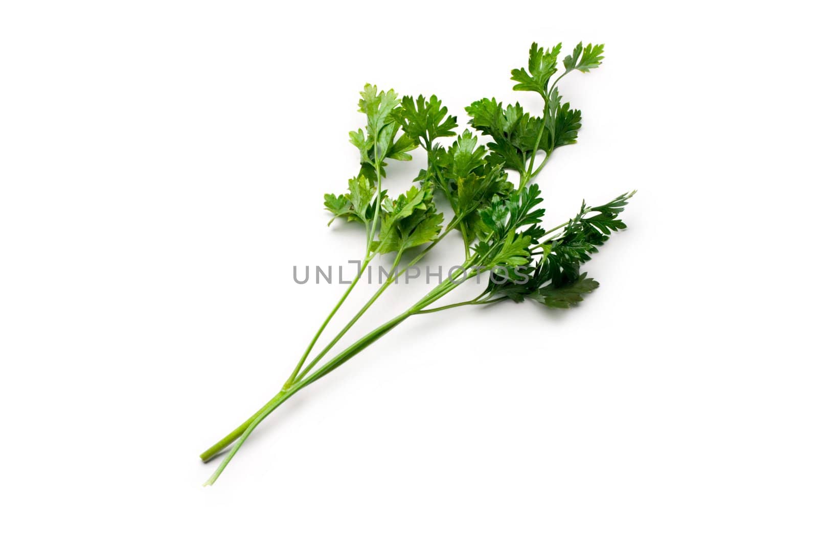 Fresh parsley isolated on white by Garsya