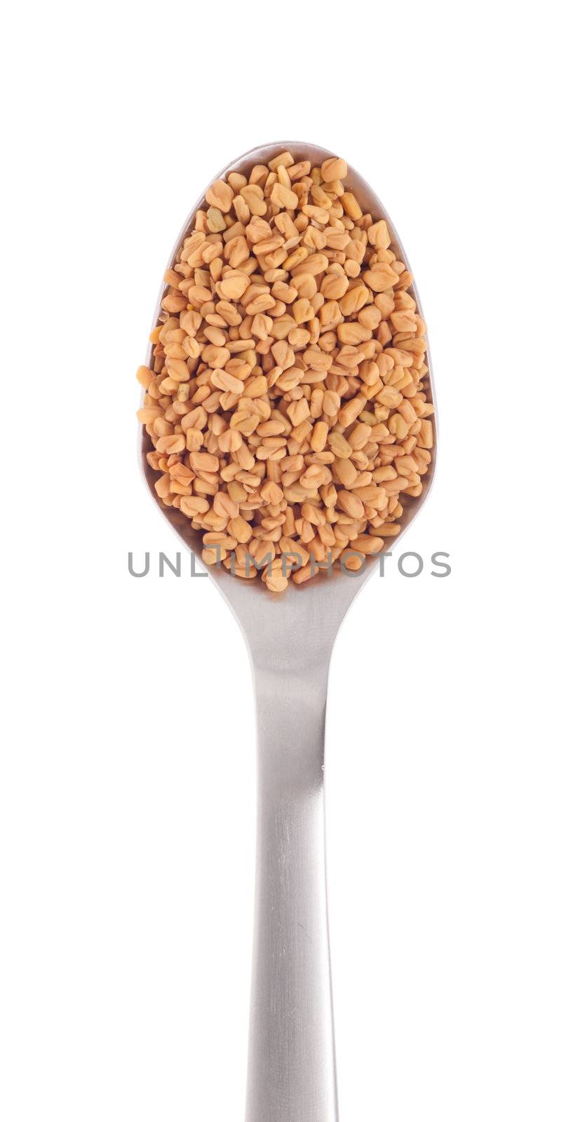fenugreek seeds spice on a stainless steel spoon, isolated on white background