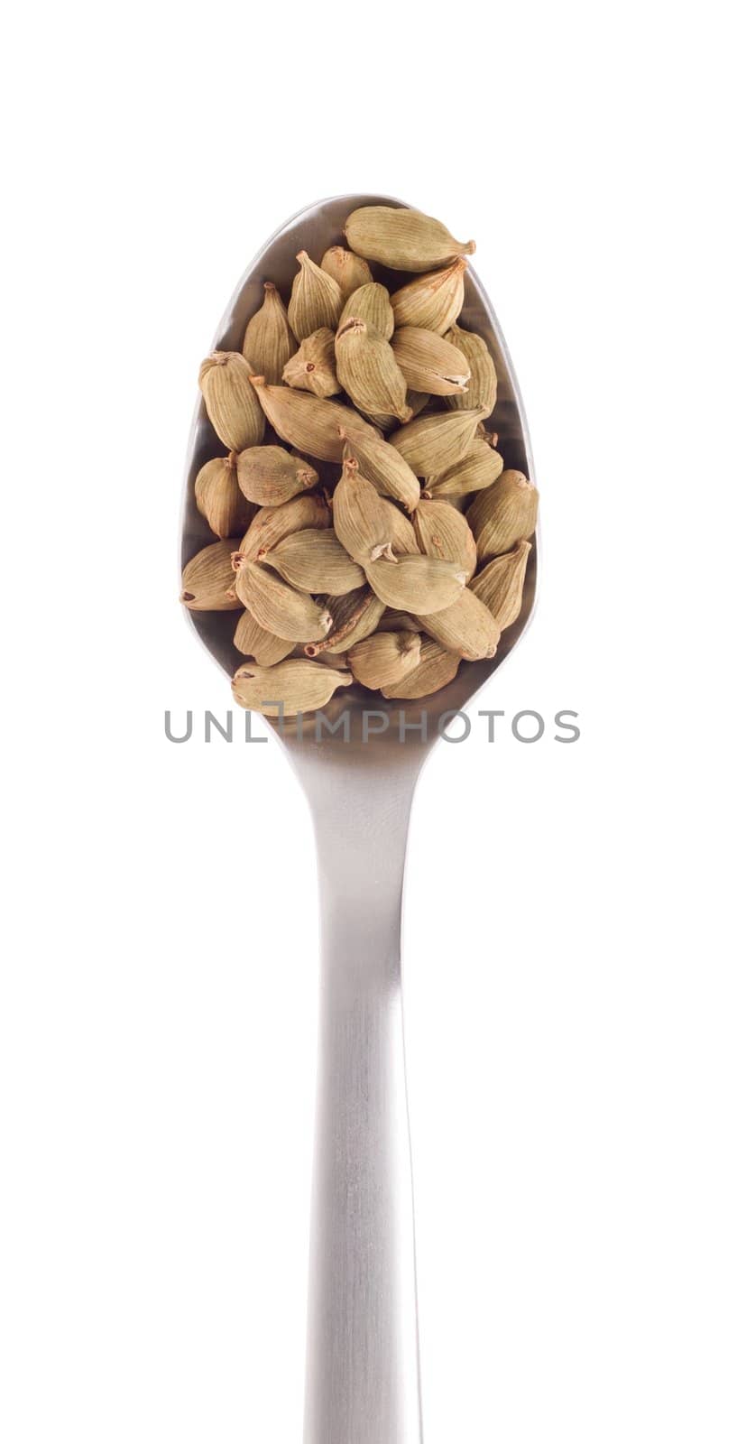 cardamom pods spice on a stainless steel spoon, isolated on white background