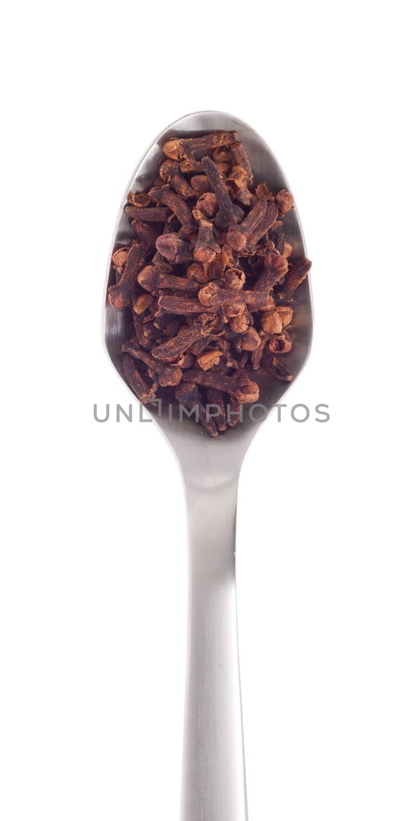 cloves spice on a stainless steel spoon, isolated on white background