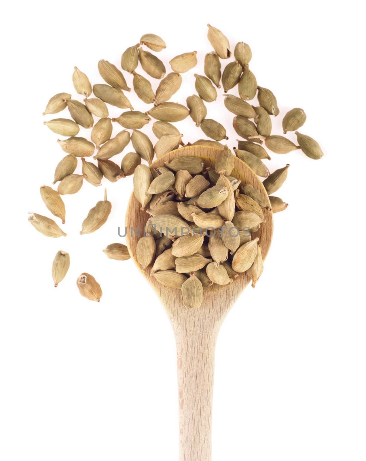 cardamom pods spice on a wooden spoon, isolated on white background