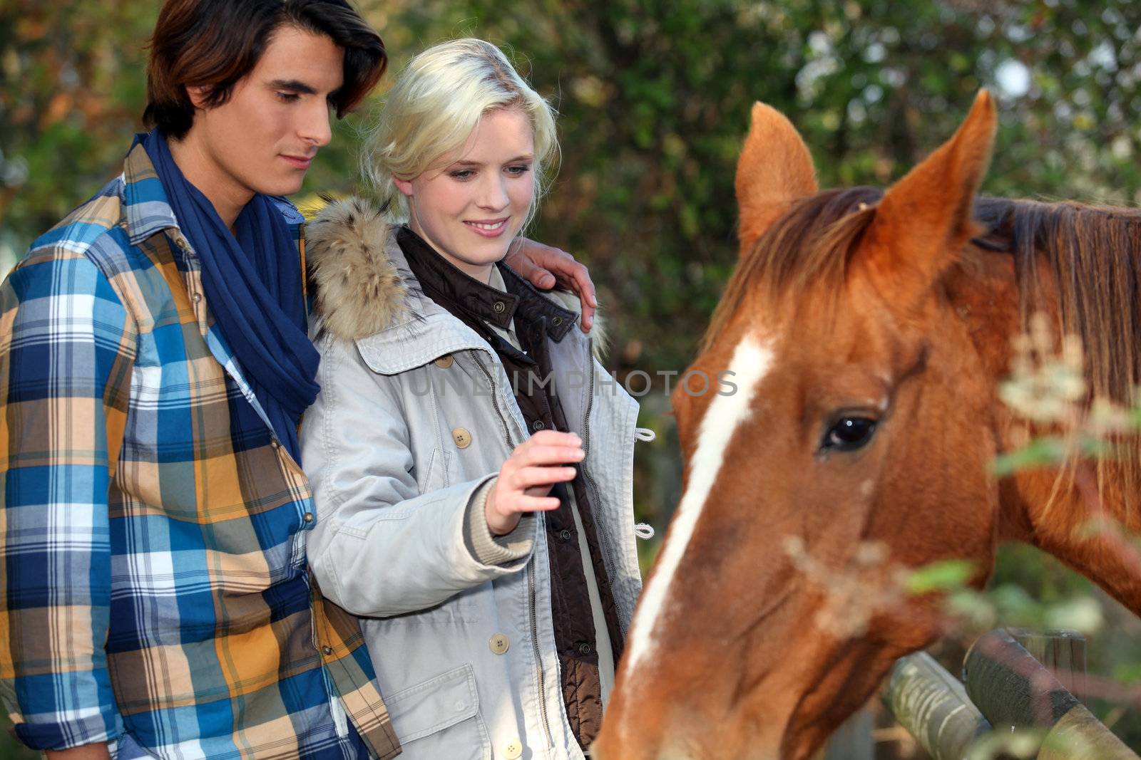 Young couple petting horse